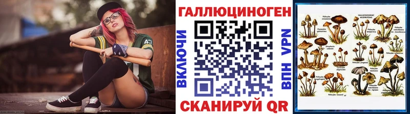 Псилоцибиновые грибы Psilocybine cubensis  omg зеркало  Кашин 