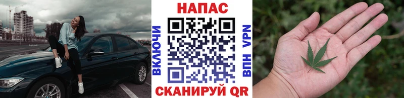 Бошки Шишки гибрид  Кашин 